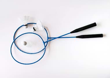 Badminton Racquets and Shuttlecocks