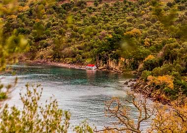Shipwrecked Autumnal rocky Island Shoreline