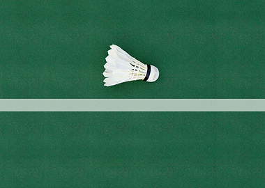 Badminton Shuttlecock on Court
