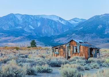 Abandoned Cabin in Mountains