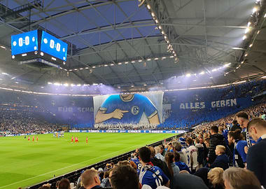 Für Schalke alles geben