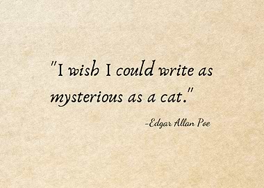 Edgar Allan Poe Quote