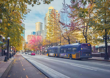City Street with Bus