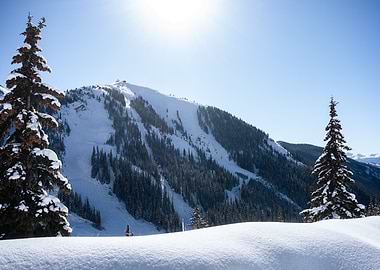 Snowy Mountain Tree View