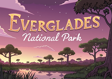 Everglades National Park Illustration