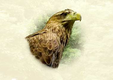 Eagle Portrait