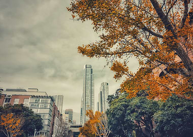 Cityscape with Autumn Trees
