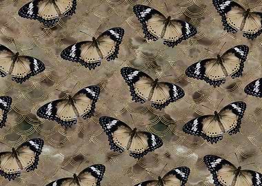 Golden Butterfly Dance 1