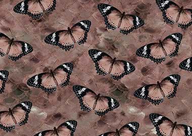 Rose Golden Butterfly Dance 1