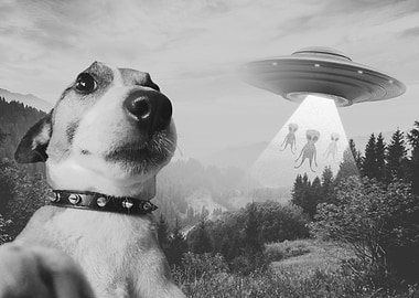 Dog & UFO Selfie