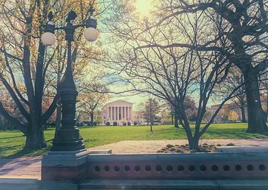 Park View with Lamppost