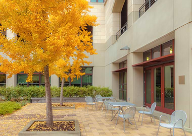 Autumn Courtyard