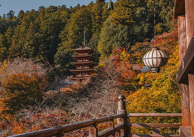 Japanese Pagoda in Autumn