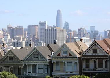 The Painted Ladies