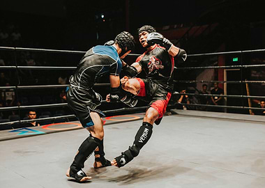 MMA Fighters in Action
