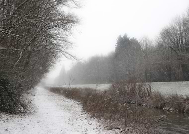 Snowy Path in Winter