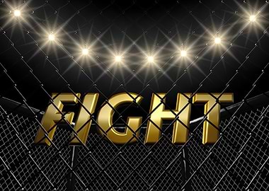 Fight Night