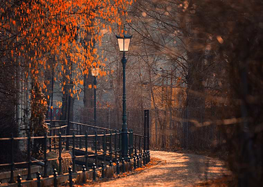 Autumn Path with Streetlight, Poland
