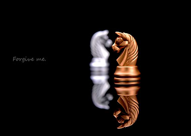 Chess Knight Reflection forgive me