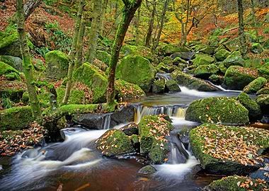 Padley Gorge
