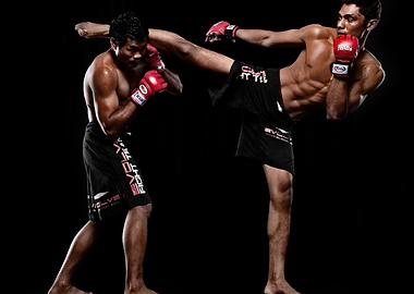 MMA Fighters Action