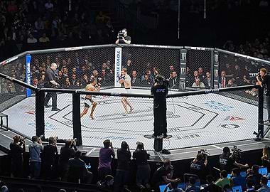 UFC Fight in Octagon