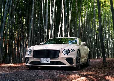 White Bentley in Bamboo Forest