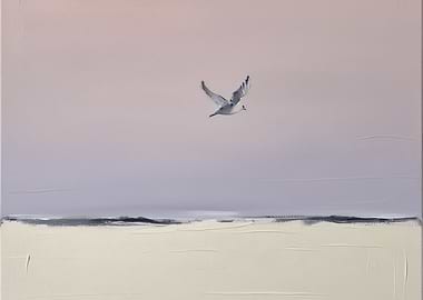 Seagull in Flight