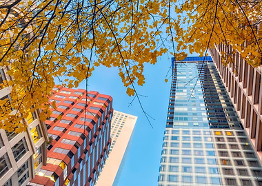 Autumn Cityscape with Skyscrapers
