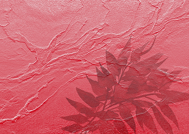 Red Stone with Leaf Shadow