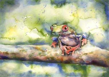 Red-Eyed Tree Frog Watercolor