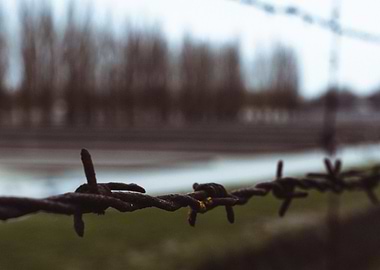 Barbed Wire Fence, Dachau Germany