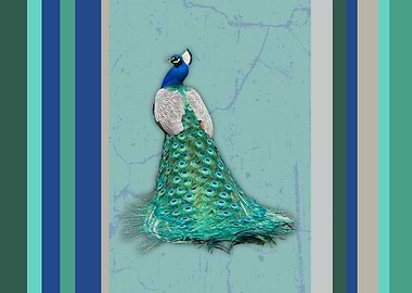 Peacock with Teal Stripes