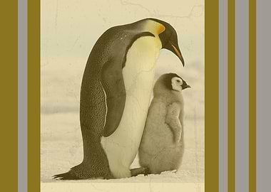 Emperor Penguin Family