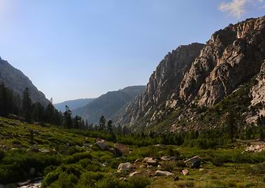 High Mountain Meadow Landscape