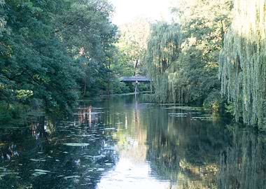Tranquil River Scene