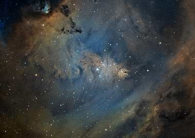 NGC 2264