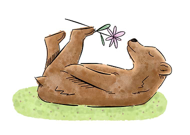 Bear Sniffing Flower