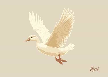 Flying White Pekin Duck