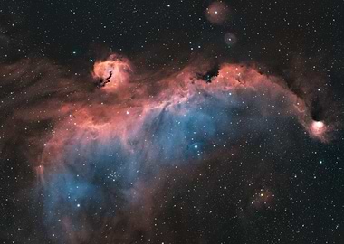 Seagull Nebula