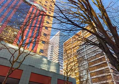 Cityscape with Bare Trees