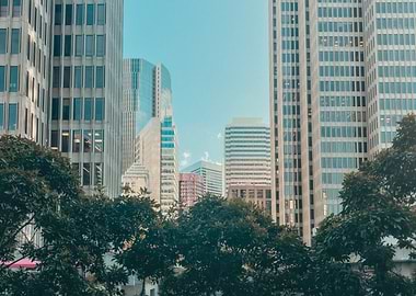 Cityscape with Tall Buildings