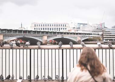London, England I Scene of a woman contemplating pigeons on the banks of the Thames aesthetic moody with a geometrical and peaceful grey urban London skyline panorama view with bokeh blur photography