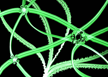 Abstract Green Swirls