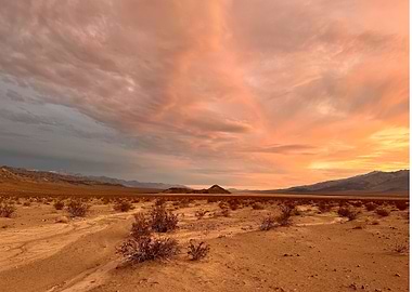 Desert Sunset Landscape