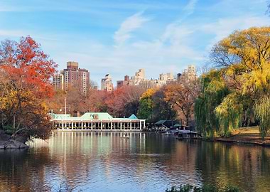Autumn Lake in Central Park