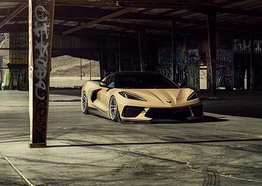 Tan Corvette in Abandoned Building