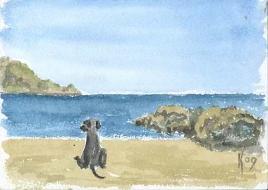 Dog on the Beach