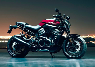 Harley Davidson Motorcycle