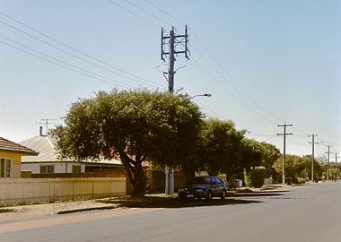 Suburban Fever Dream